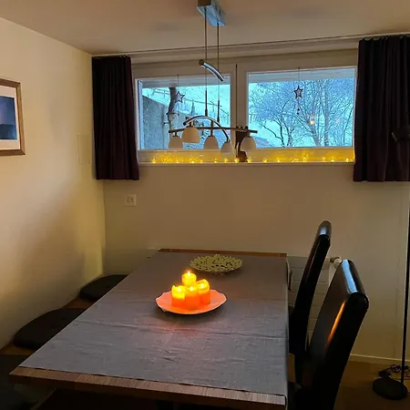 提琴小木屋