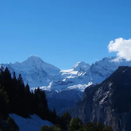 Apartment Viola Wengen