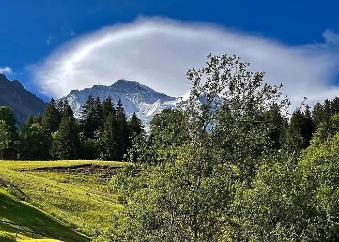 Viola Διαμέρισμα