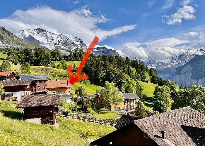 Viola Διαμέρισμα