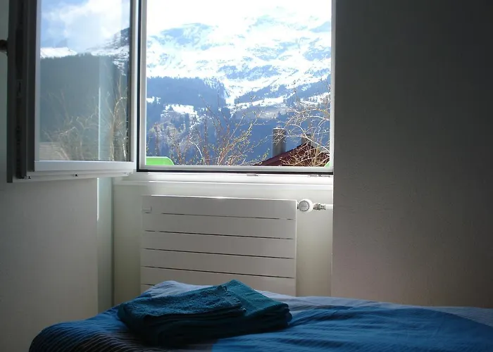 Viola Βένγκεν