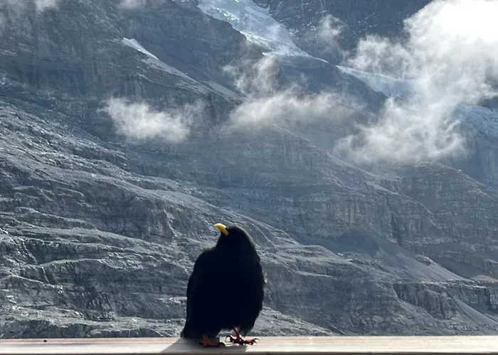 Viola Διαμέρισμα Βένγκεν