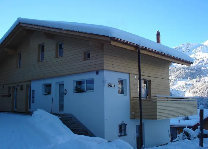 Viola Βένγκεν