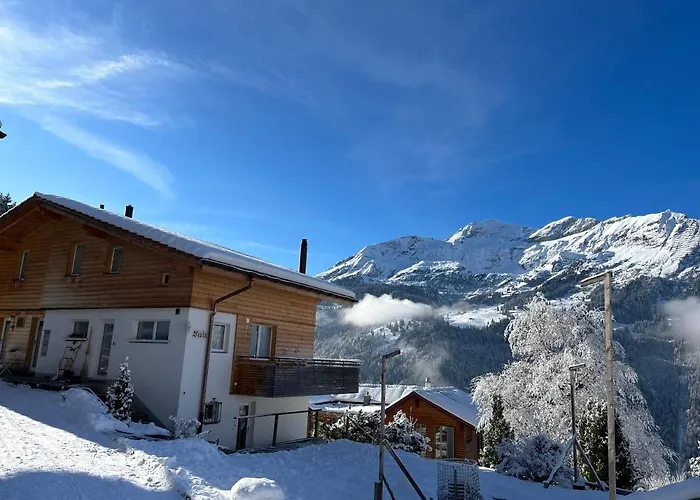 Viola Βένγκεν